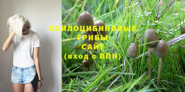 герыч Мегион