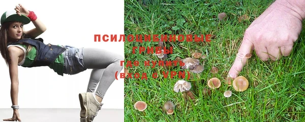 герыч Мегион