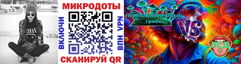 цены наркотик  KRAKEN   Псилоцибиновые грибы Psilocybine cubensis  Ессентукская 